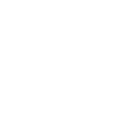 Instituto Otovida